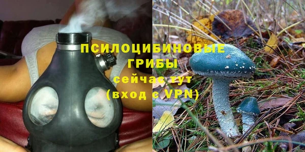 ПСИЛОЦИБИНОВЫЕ ГРИБЫ Алзамай