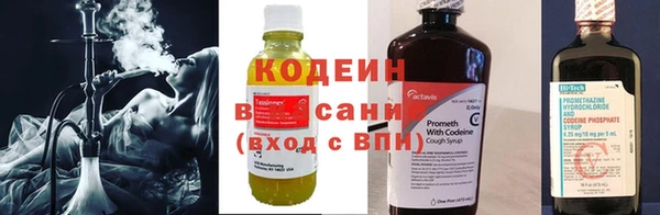 ПСИЛОЦИБИНОВЫЕ ГРИБЫ Алзамай