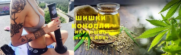 ПСИЛОЦИБИНОВЫЕ ГРИБЫ Алзамай