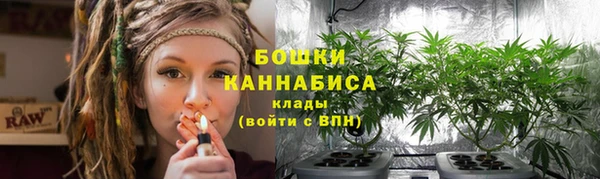 ПСИЛОЦИБИНОВЫЕ ГРИБЫ Алзамай