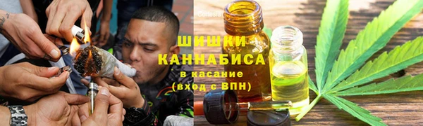 ПСИЛОЦИБИНОВЫЕ ГРИБЫ Алзамай