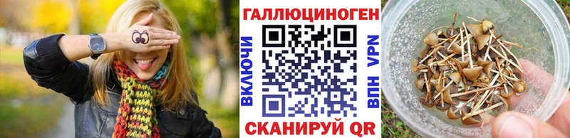 кракен онион  Аркадак  сайты даркнета официальный сайт  Псилоцибиновые грибы прущие грибы 